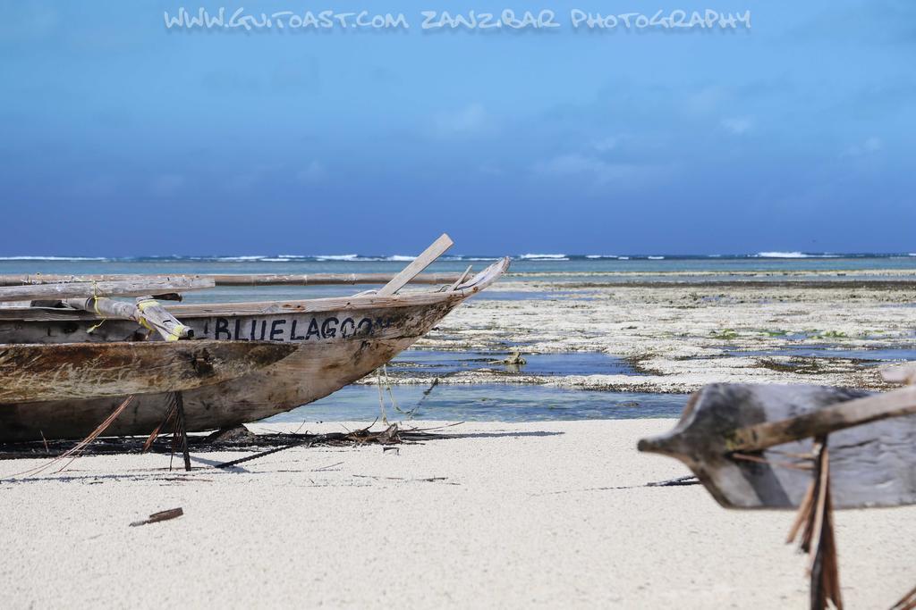 Отель Albatross Ocean View Dongwe Экстерьер фото